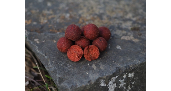CARP-ONLY - Boilies Hookbait Frenetic ALT 24 mm 1 kg Chilli Spice