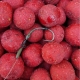 CARP-ONLY - Boilies Hookbait Frenetic ALT 24 mm 1 kg Strawberry