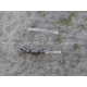 CARP ´R´ US - Clearwater Gizmo Swivel Leader 92 cm 50 lb 2 ks