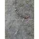 CARP'R'US - Hotové náväzce/vlasy Clearwater Ready Hairs Large, 3 ks