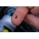 CARP'R'US - Krimpovacie svorky Crimps 50 ks 0,6 mm