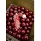 CHYTIL - Boilies 24 mm 1 kg Krill Max