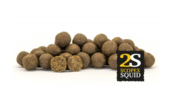 CHYTIL - Boilies 24 mm 250 g 2S Scopex Squid