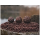 CHYTIL - Boilies Pandémia 16 mm 2S Scopex Squid
