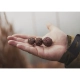 CHYTIL - Boilies Pandémia 16 mm Inchigo Hotto