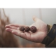 CHYTIL - Boilies Pandémia 16 mm Skunk