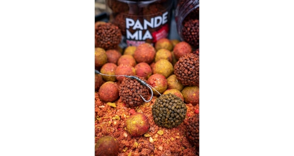 CHYTIL - Boilies Pandémia 20 mm Apač Indian Spice