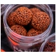 CHYTIL - Boilies Pandémia 20 mm Chiméra Red