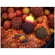 CHYTIL - Boilies Pandémia 20 mm Chiméra Red