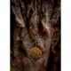 CHYTIL - Boilies Pandémia 20 mm Krill Max