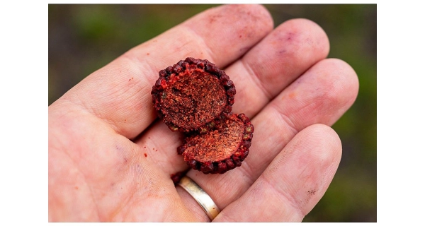 CHYTIL - Boilies Pandémia 20 mm Krill Max
