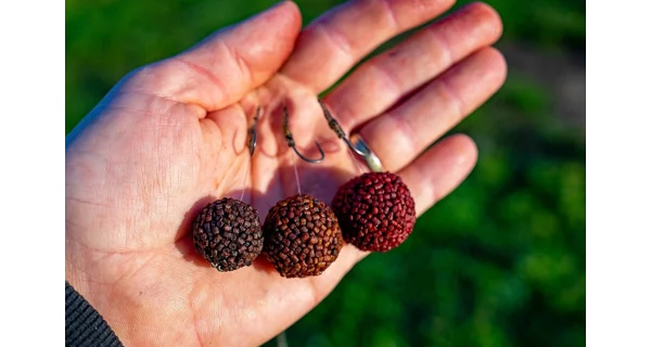 CHYTIL - Boilies Pandemia 24 mm Black Panther