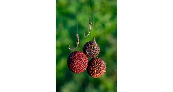 CHYTIL - Boilies Pandemia 24 mm Black Panther