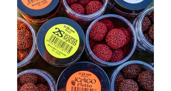 CHYTIL - Boilies Pandemia 24 mm Black Panther