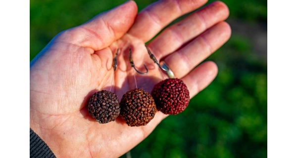 CHYTIL - Boilies Pandémia 24 mm Ichigo Hotto