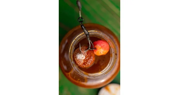 CHYTIL - Booster 300 ml 2S Scopex Squid