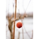 CHYTIL - Boosterované boilies 20 mm 120 g Chiméra Red