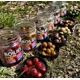 CHYTIL - Dipované boilies Master Carp 16 mm 120 g Amur