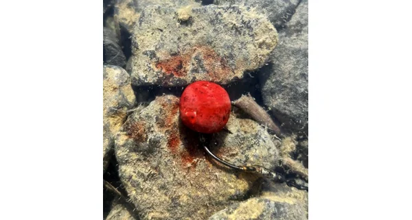 CHYTIL - Dipované boilies Master Carp 20 mm 120 g Amur