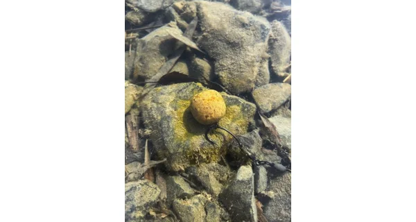 CHYTIL - Dipované boilies Master Carp 20 mm 120 g Jahoda