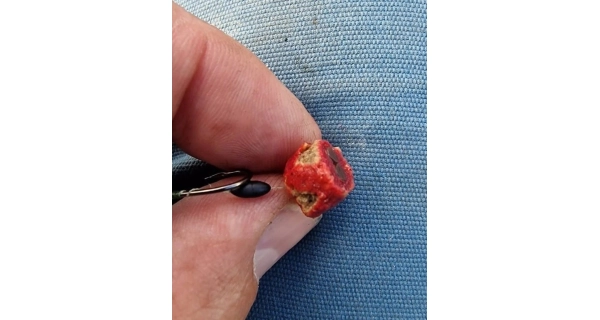 CHYTIL - Feeder peletky s dierou 8 mm 30 g Hruška maslová