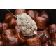 CHYTIL - Kaprí Amino pelety s dierou 20 mm 250 g