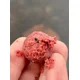 CHYTIL - Kŕmne boilies 20 mm 5 kg Banán Butyric & Pečeň