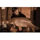 CHYTIL - Kŕmne boilies 20 mm 5 kg Indiánske korenie