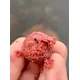CHYTIL - Kŕmne boilies 20 mm 5 kg Scopex & Oliheň