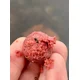 CHYTIL - Kŕmne boilies 24 mm 5 kg Indiánske korenie