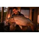 CHYTIL - Kŕmne boilies 24 mm 5 kg Indiánske korenie