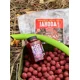 CHYTIL - Kŕmne boilies 24 mm 5 kg Jahoda & Chilli