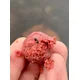 CHYTIL - Kŕmne boilies 24 mm 5 kg Krill & Korenie