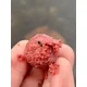 CHYTIL - Kŕmne boilies 24 mm 5 kg Scopex & Oliheň