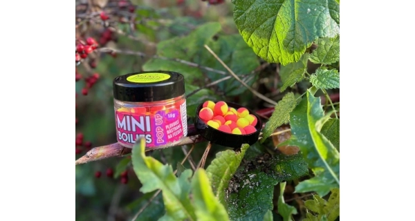 CHYTIL - Pop Up Mini Boilies 10 mm 15 g Jahoda Chilli