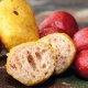 CHYTIL - Pufovaný chleba mini 25 g Scopex