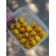 CHYTIL - Rožkový boilies Maxi 20 mm 60 g Amur