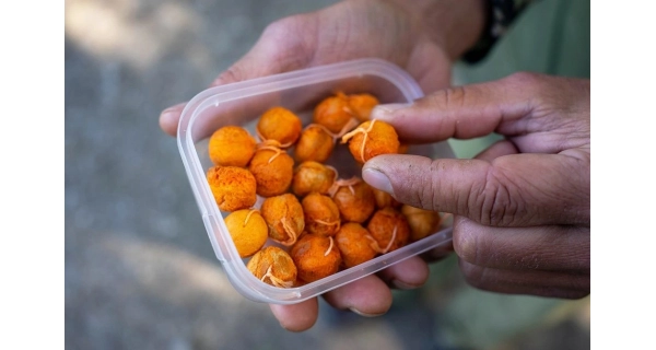 CHYTIL - Rožkový boilies Maxi 20 mm 60 g Med