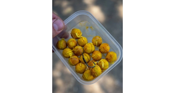 CHYTIL - Rožkový boilies Maxi 20 mm 60 g Scopex