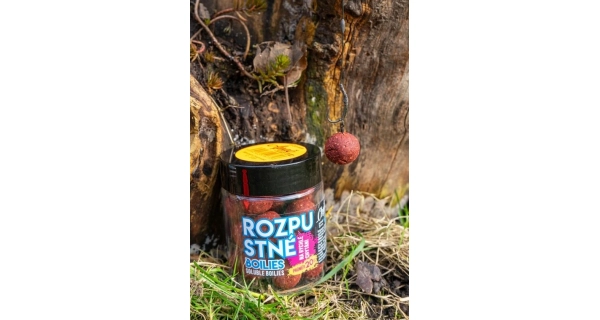 CHYTIL - Rozpustné boilies 16 mm 120 g Famózna slivka