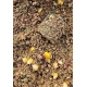 CHYTIL - Varená kukurica 250 g
