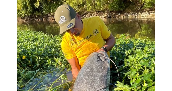 CLIMAX - Šnúra Cult Catfish 1,3 mm 135 kg 20 m Žltá