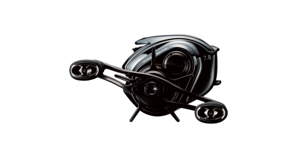 DAIWA - Multiplikátor 24 Steez SV TW 100XHL