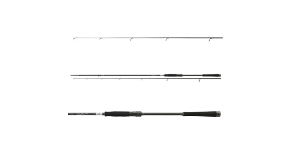 DAIWA - Prút Caldia Spin 2,4 m 15-50 g 2 diely