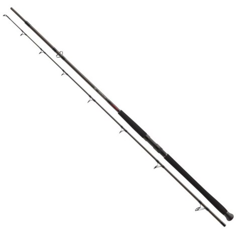 DAIWA - Prút Exceler Catfish Boje 2,70 m 200 - 600 g