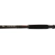 DAIWA - Prút Exceler Catfish Boje 3,30 m 200-600 g
