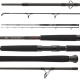 DAIWA - Prút Exceler Catfish Boje 3,30 m 200-600 g