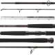 DAIWA - Prút Exceler Catfish Boje 3,30 m 200 - 600 g