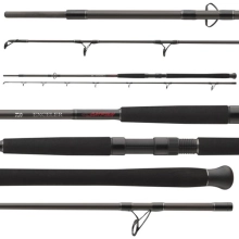 DAIWA - Prút Exceler Catfish Boje 3,30 m 200-600 g