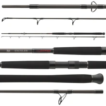 DAIWA - Prút Exceler Catfish Boje 3 m 200-600 g